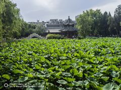 -莲池书院博物馆