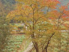 -常德桃花源景区