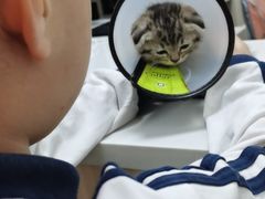 -瑞派宠物医院(搏威敦和院)