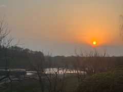 -洨河生态公园