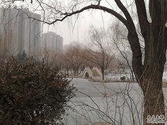 -紫竹院公园冰场