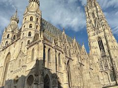 -斯蒂芬主教座堂(Stephansdom)