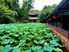 -三苏祠