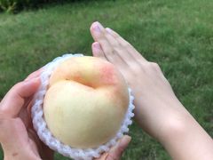 -西郊国际农产品交易中心