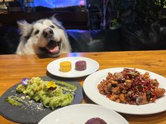 -百好乐宠物友好餐厅(朝外大街店)