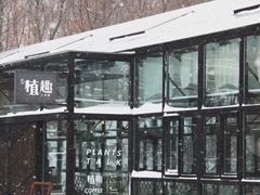 -北马山庄植趣咖啡