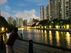 -新湖明珠城