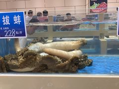 -双井轩(双井店)
