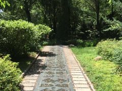-沈阳植物园