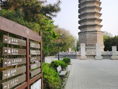 -古塔公园