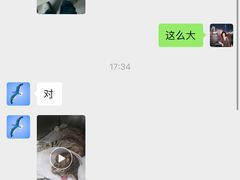 -中农国际动物医院24小时·猫科·骨科·急重症中心