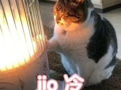 -真正老陆稿荐(太康新村店)