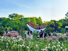 -金鸡湖景区