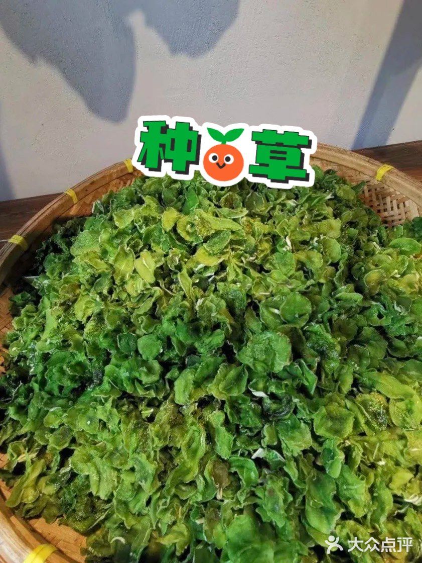 春日暖阳下的武汉||🌸