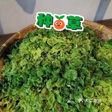 春日暖阳下的武汉||🌸