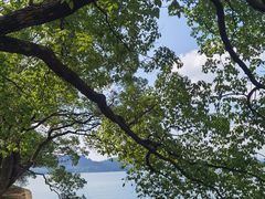 -东湖落雁景区