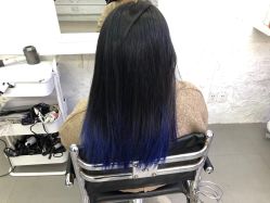 -SALON V