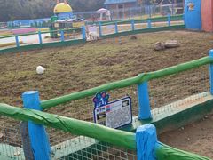 -宿豫区运河湾森林动物园