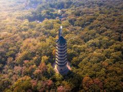-灵谷景区