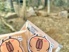 -红山森林动物园