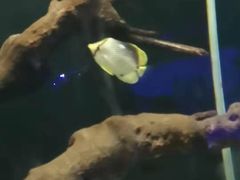 -大连圣亚海洋世界