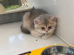 -阳光世纪奥特莱斯店