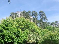 -深圳国际园林花卉博览园