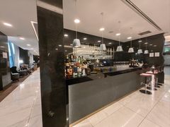 -米兰马尔彭萨国际机场