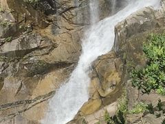 -海南热带雨林国家公园吊罗山景区