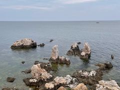 -养马岛旅游度假区