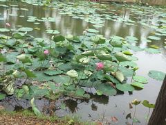 -艾溪湖湿地公园