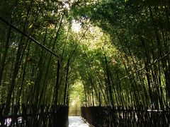 -丽泽山庄·生态怀柔菜·虹鳟鱼(红螺寺店)