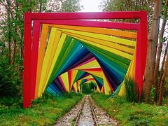 -合肥滨湖国家森林公园