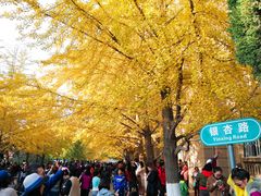 -辽宁大学(崇山校区)