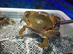 -盒马鲜生(岭南新世界店)