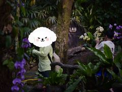 -呀诺达热带雨林