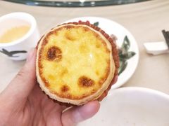 招牌鲜奶蛋挞-顺风山庄(水濂山店)