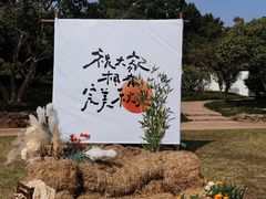 -无锡梅园公园