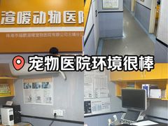 -渲嗳动物医院(异宠·复杂内科转诊中心·玖洲道富华里分院)