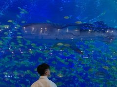 -成都浩海立方海洋公园