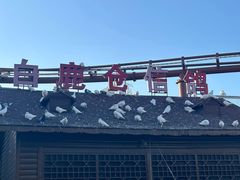 -白鹿原·白鹿仓