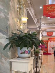 -北京润美玉之光医疗美容