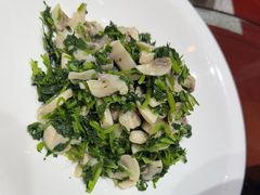 -木子山庄·安徽省老字号·中国炖锅宴