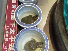 -魏铭鱼头捞饭(晋阳路店)