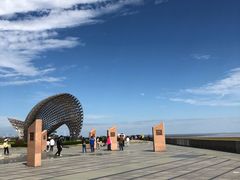 -春花秋色城市公园