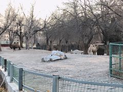 -天津市动物园