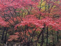 -本溪老边沟风景区
