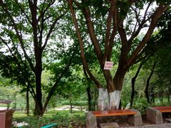 -两江新区金山小学