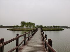 -西青郊野公园