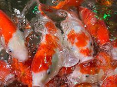 -太平洋海底世界